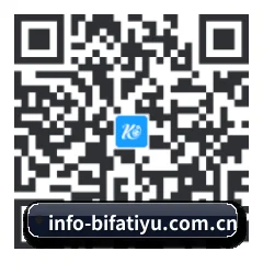 苹果版 iOS 二维码
